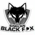 Similan Black Fox