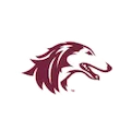 SOUTHERN ILLINOIS SALUKIS