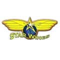 Starwings Basket