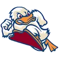 Stevens Tech Ducks
