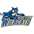 SUNY Polytech Wildcats