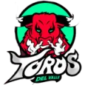 Toros Del Valle