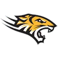 Towson Tigers