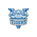 Voorhees Tigers
