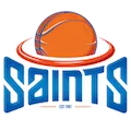 Wellington Saints