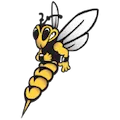 Wisconsin Superior Yellowjackets