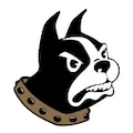 WOFFORD TERRIERS