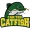 Can Tho Catfish