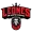 Leones De Santo Domingo