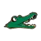Allegheny Gators