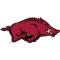 Arkansas Razorbacks