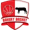 Bakery Basquetebol Piacenza