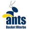 Basket Viterbo Ants