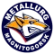 BC Metallurg Magnitogorsk