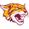 Bethune Cookman Wildcats