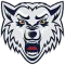 BK Wolves Radotin