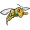 Black Hills State Yellow Jackets