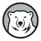 Bowdoin Polar Bears