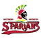 Spartans Do Distrito Do Sul