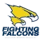 CMU Fighting Falcons