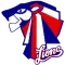 Central Districts Lions