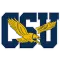 Coppin State Eagles