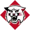 DAVIDSON WILDCATS