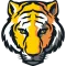 Depauw Tigers