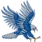 Dickinson State Blue Hawks