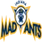 Indiana Mad Ants