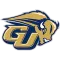 Gallaudet Bison
