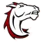 Hastings College Broncos