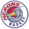 Herons Basket Montecatini