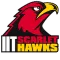 Illinois Tech Scarlet Hawks