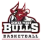 Inner West Bulls