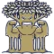 New College Of Florida Mighty Banyans