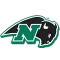Nichols Bison
