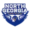 North Georgia Nighthawks