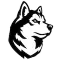 Northeastern Huskies