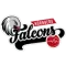 Nuremberg Falcons BC