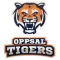 Oppsal Tigers 1