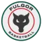 Fulgor Omegna Basket