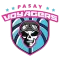 CD Huachipato