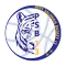 Pays Salonais Basket 13
