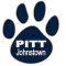 Pittsburgh-Johnstown Mountain Cats