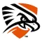 Texas Permian Basin Falcons