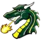 Tiffin Dragons