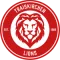 Traiskirchen Lions