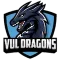 Virginia Lynchburg Dragons