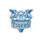Voorhees Tigers